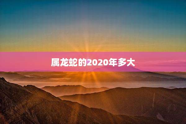 属龙蛇的2020年多大