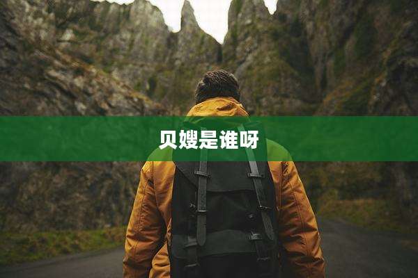 贝嫂是谁呀