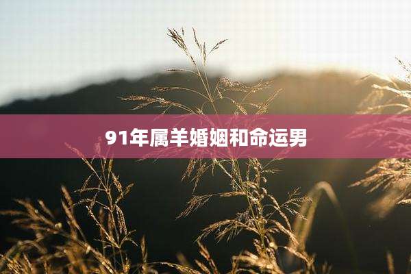 91年属羊婚姻和命运男