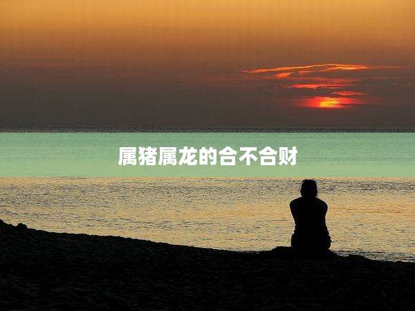 属猪属龙的合不合财