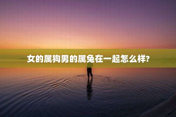 女的属狗男的属兔在一起怎么样?