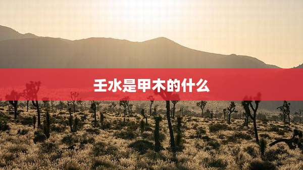 壬水是甲木的什么