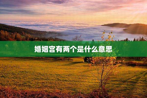 婚姻宫有两个是什么意思