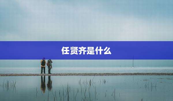 任贤齐是什么