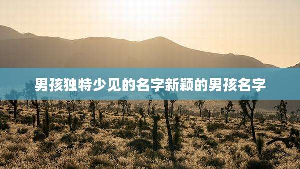 男孩独特少见的名字新颖的男孩名字