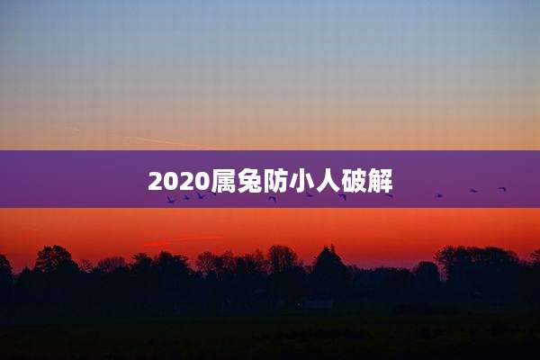 2020属兔防小人破解