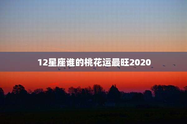 12星座谁的桃花运最旺2020