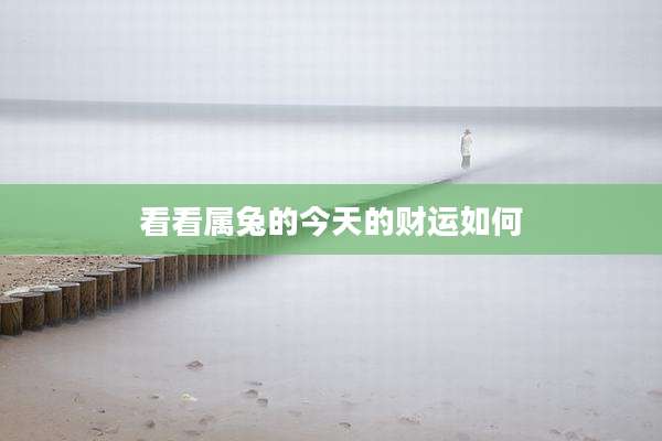 看看属兔的今天的财运如何