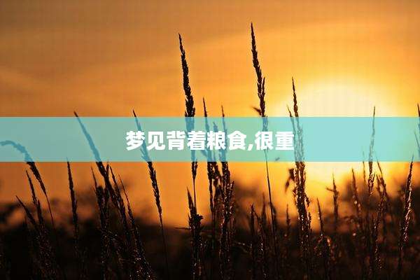 梦见背着粮食,很重