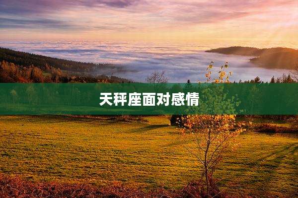 天秤座面对感情