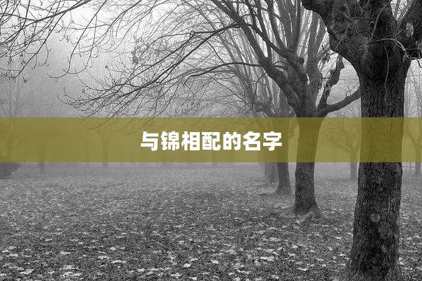 与锦相配的名字