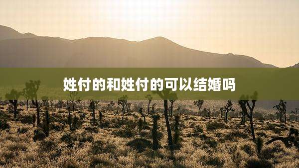 姓付的和姓付的可以结婚吗