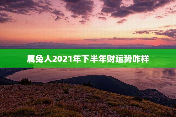 属兔人2021年下半年财运势咋样