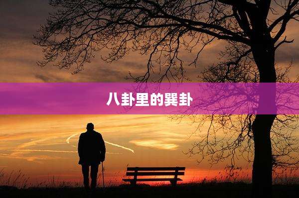 八卦里的巽卦