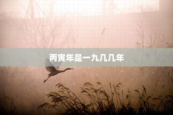 丙寅年是一九几几年
