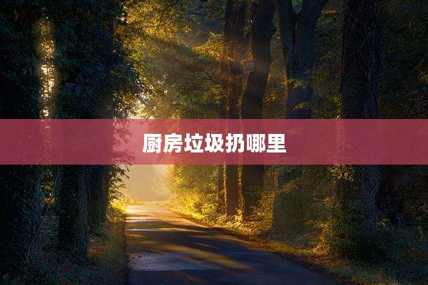 厨房垃圾扔哪里