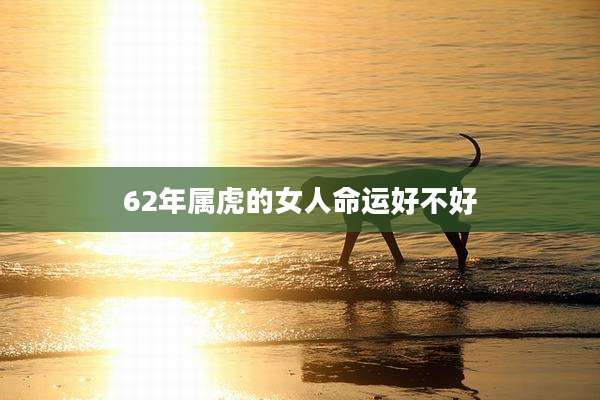 62年属虎的女人命运好不好