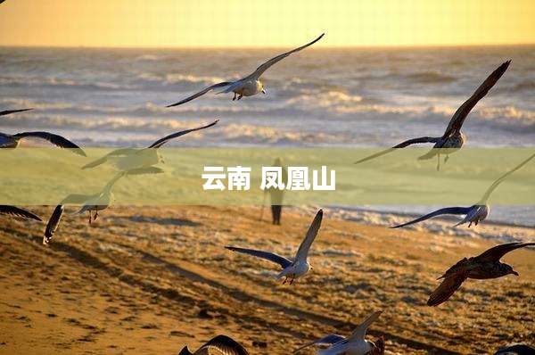云南 凤凰山