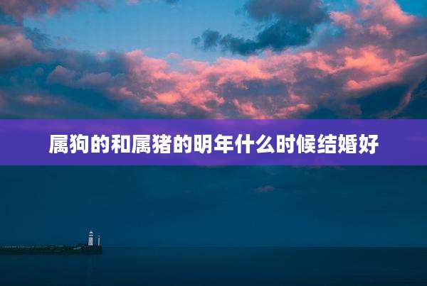 属狗的和属猪的明年什么时候结婚好