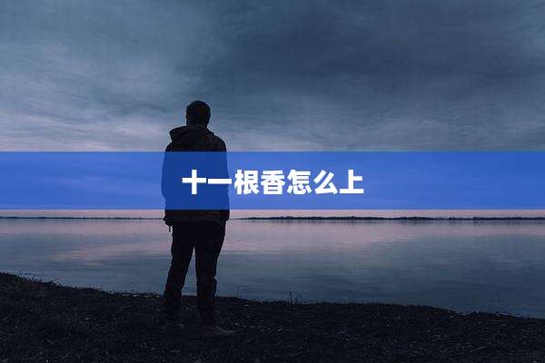 十一根香怎么上