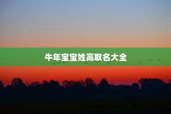 牛年宝宝姓高取名大全