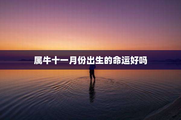 属牛十一月份出生的命运好吗