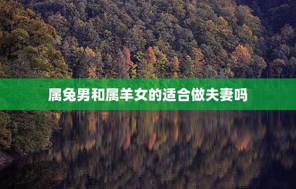 属兔男和属羊女的适合做夫妻吗