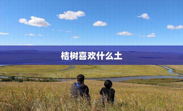 桔树喜欢什么土