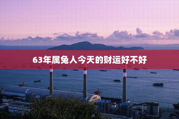 63年属兔人今天的财运好不好
