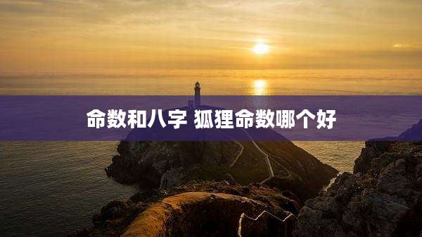 命数和八字 狐狸命数哪个好