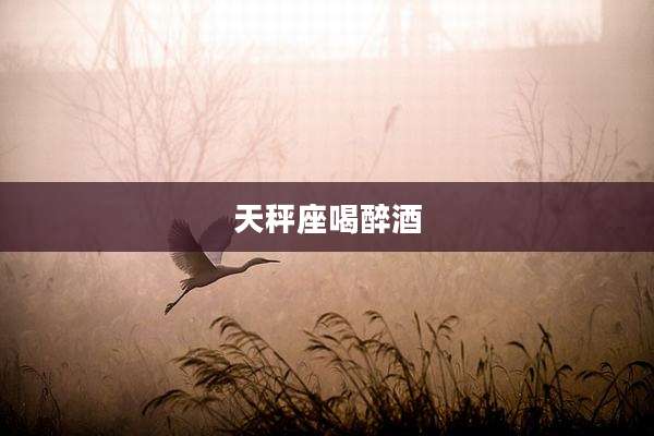 天秤座喝醉酒