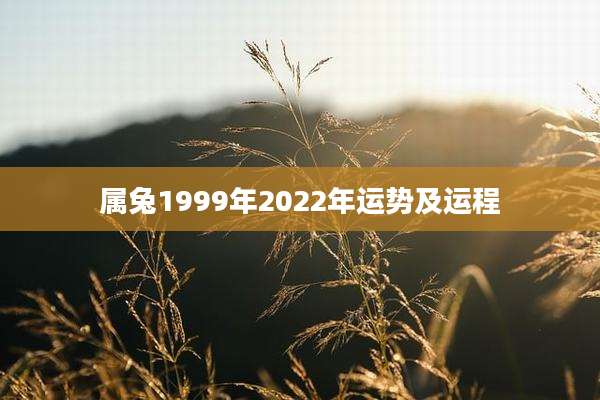 属兔1999年2022年运势及运程