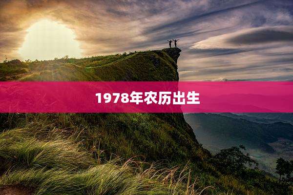 1978年农历出生