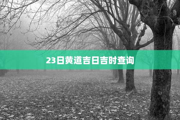 23日黄道吉日吉时查询