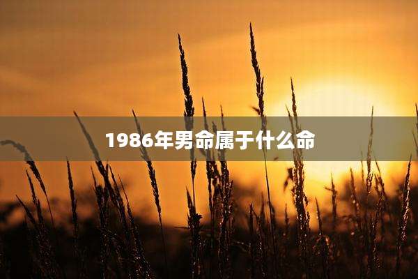 1986年男命属于什么命