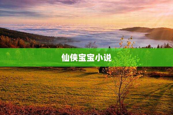仙侠宝宝小说