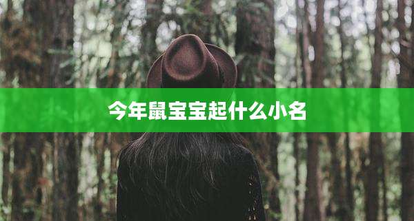 今年鼠宝宝起什么小名