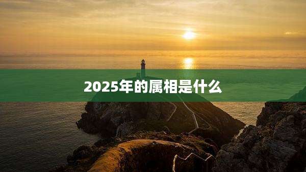 2025年的属相是什么