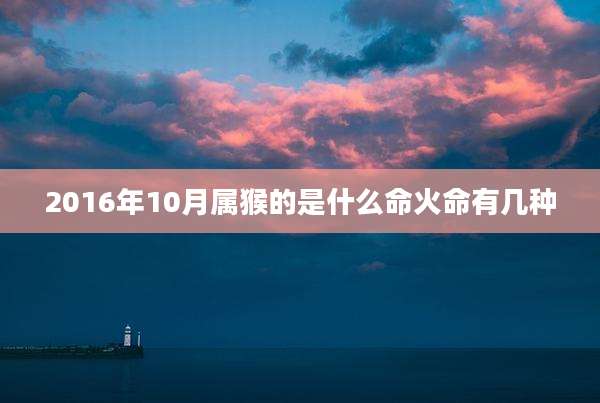 2016年10月属猴的是什么命火命有几种