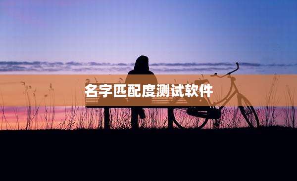 名字匹配度测试软件