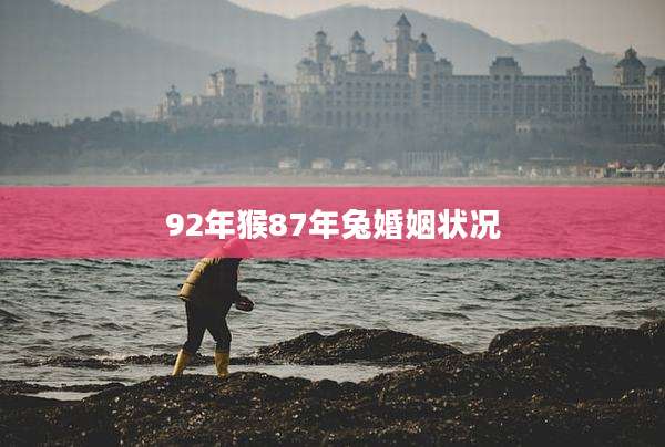 92年猴87年兔婚姻状况