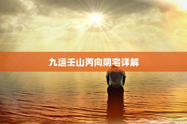 九运壬山丙向阴宅详解