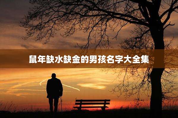 鼠年缺水缺金的男孩名字大全集