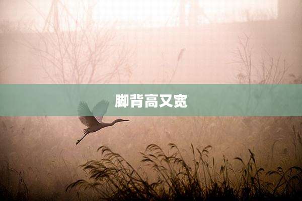 脚背高又宽