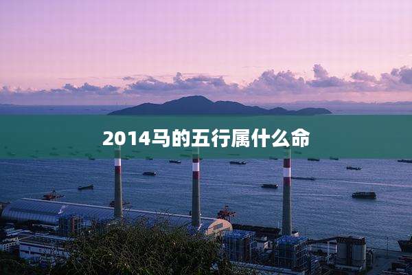 2014马的五行属什么命