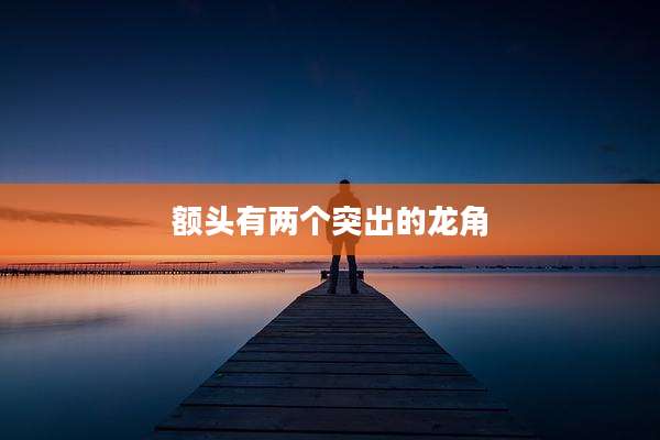 额头有两个突出的龙角