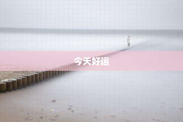 今天好运