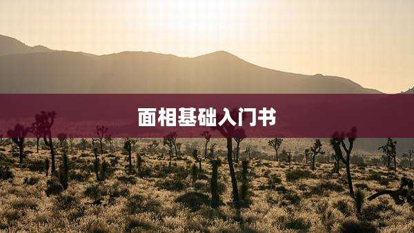 面相基础入门书
