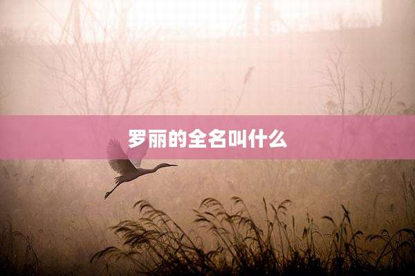 罗丽的全名叫什么