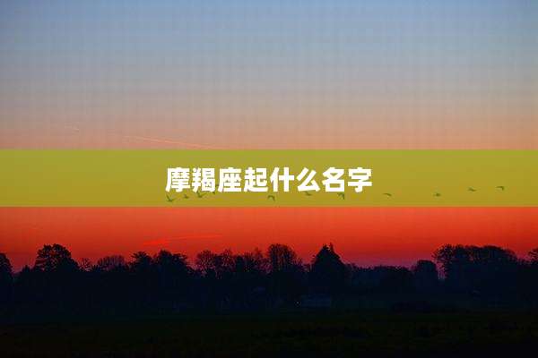 摩羯座起什么名字
